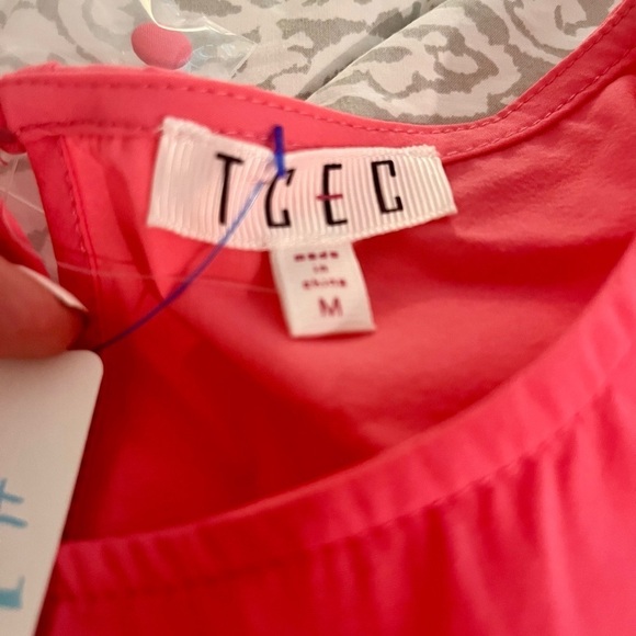 TCEC Pink Ruffle Dress - Picture 5 of 11